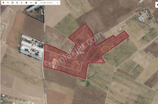 Çubuk Taşpınarda Satılık Tarla/ Hobi Bahçesi