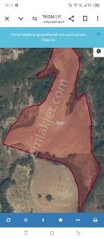 Ekşioğlu 'dan Tekirdağ Süleymanpaşa Işıklar Köyü Satılık Tarla 16223 M2