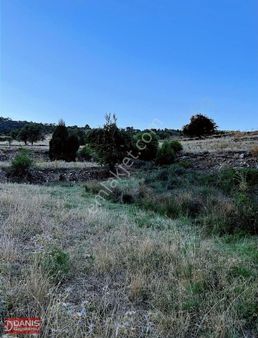 Danış Gayrimenkulden Honaz Aydınlarda Satılık Tarla