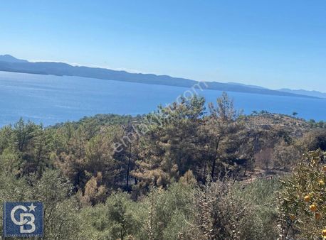 Selda Kozalı'dan Kıran Sahilinde Deniz Manzaralı Satılık Tarla