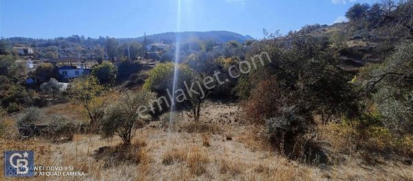 Selda Kozalı 'dan Denizova Mah 990 M2 İmarlı Satılık Tarla