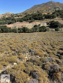 Notıas Real Estate Gayrimenkul'den 7.710 M2 Tarla Yola Yakın