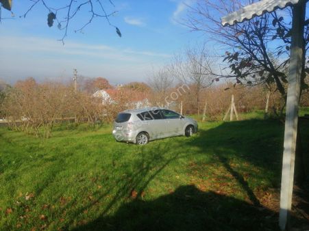 Goldlıfe Gayrimenkulden Çubuklu Köyünde Kupon Arazi