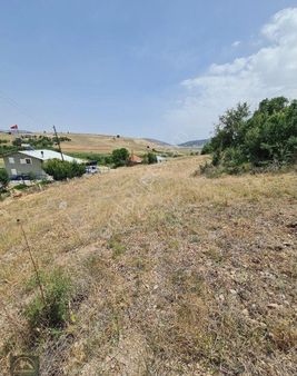 Ana Yola Yakın Tarlamız Tek Tapu Satılıktır