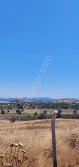 Dikili Candarli Da Deniz Gören Kadastral Yolu Elektriği İçinde 1+1 Evi Olan 14.5 Dönüm Zeytinlitarla