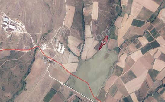 Balıkesir Bandırma Erikli Mah. 3949 M2 Satılık Tarla
