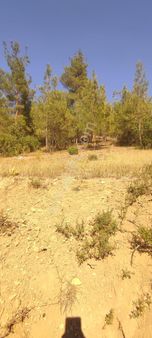 İmara Köy Yerleşimine Yakın Elektrik Yol Su Problemi Olmayan Satılık Tarlalar