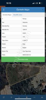 Sulutas Ta Satılık Bağ