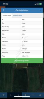 Aliaga Cıtak Koyunde Satılıl Tarla..