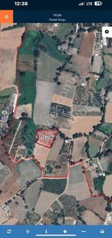 Bursa Nilüfer Ürünlü Mah Satılık Hobi Bahçesi