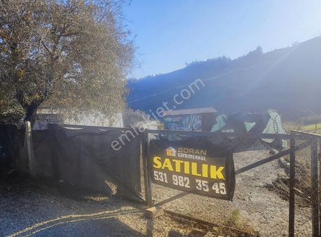 Boran Gayrimenkul'den Karaisalıda 15 Dönüm Tek Tapu Nar Bahçesi