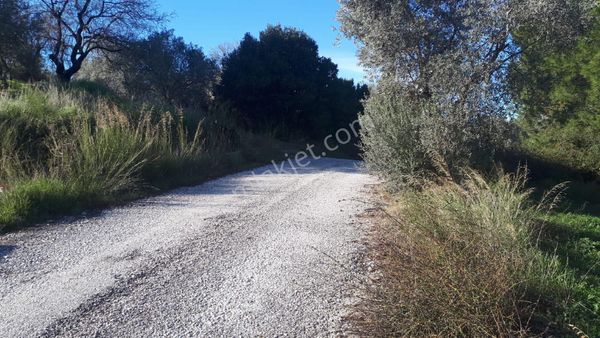 Buca Doğancılar'da Satılık Tarla