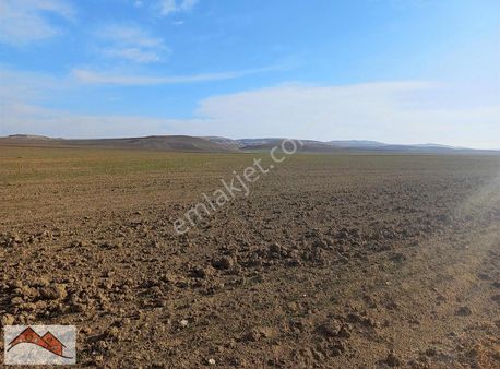 Satılık Tarla Bezirhane Mah Gölbaşi Ankara