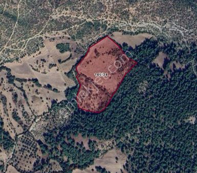 Kazdağlarının Etekleri Bayramiç Akpınar Köyü'nde Satılık Tarla!