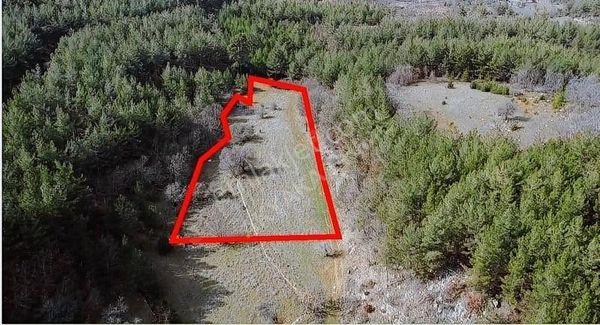 Doğa Ve Huzur İçinde Yaşam Arayanlar İçin 17.223 M2 Tarla