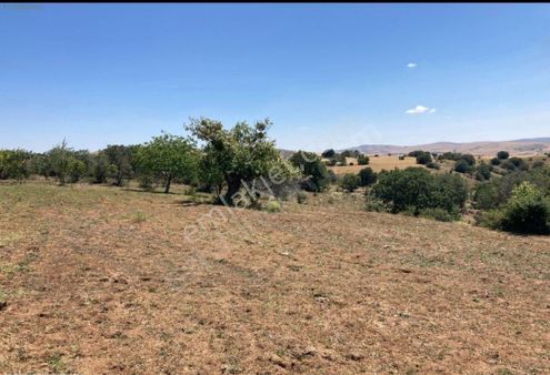 Satılık Bursa Gokcesuda Tarla