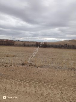 Hacimuratlida Satlik Hisseler