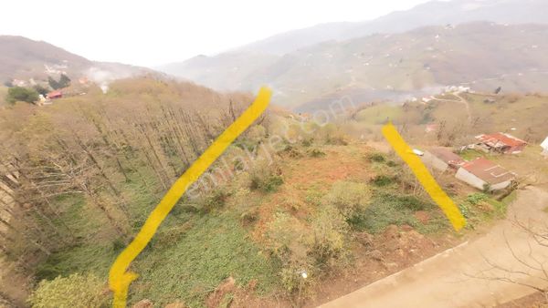 Mahalle Ana Yoluna 60 Metre Cephe Arazi