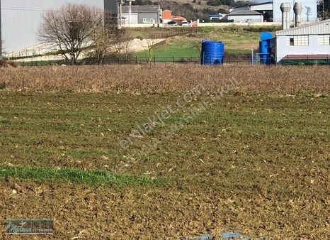 Kandıra Akdurak Mah.satılık 2.205 Mt Yatırımlık Arazi