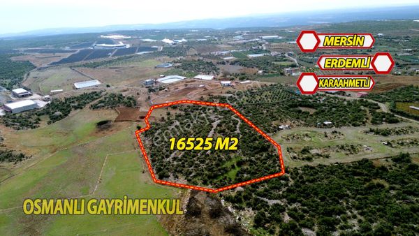 Erdemli Karaahmetli Mah. 16525 M2 Villa Yapımına Uygun Parsel