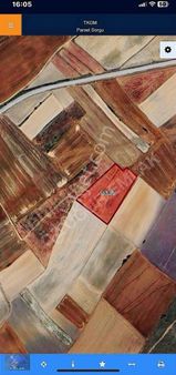 Öz Uğur Emlak Tan Hisli Arsa