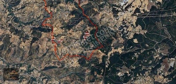 Balıkesir Dursunbey Kızılcadere Büyük Fırsat Satılık Tarlalar