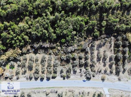 Turyap Foça'dan Ana Cadde Üzerinde Kaçırılmaz Fırsat Tarla