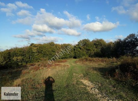Tahtalıda 7,5 Dönüm Ormana Cephe Köy Merkezine Yakın Kelepir