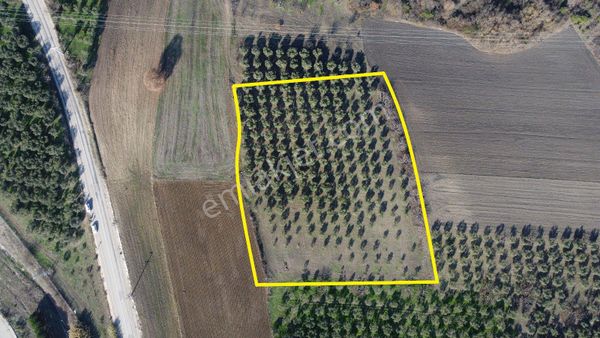 Nilüfer / Büyükbalıklı’ Da İmar Sınırında Müstakil Yatırım Fırsatı