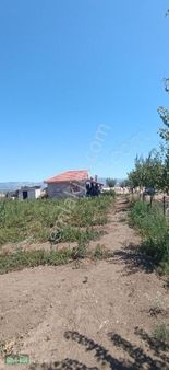 Acıpayam-allattin'de Satılık Tarla Ve Müstakil Ev