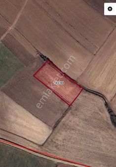 Tekirdağ/saray/çayla 2000m2 Tek Tapu Tarla