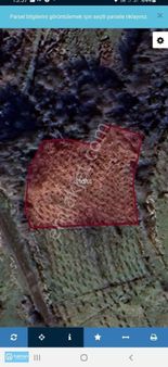 Samsun Canik Gürgenyatak'ta 2870 M2 Satılık Tarla Fındık Bahçesi