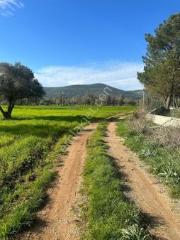 Bodrum Çamarası Köyünde Satılık Tarla