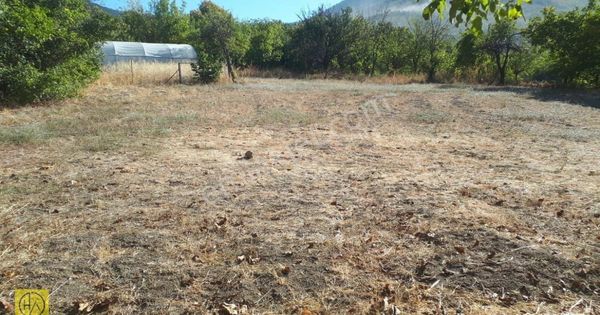 Eskişehir Sarıcakaya Dağküplü’de(hisse) Satılık Bahçe