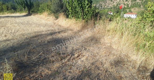 Eskişehir Sarıcakaya Dağküplü’de(hisse) Satılık Tarla