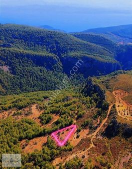 Muğla Menteşe Zeytinköy Mahallesi 4.478 M2 Tarla