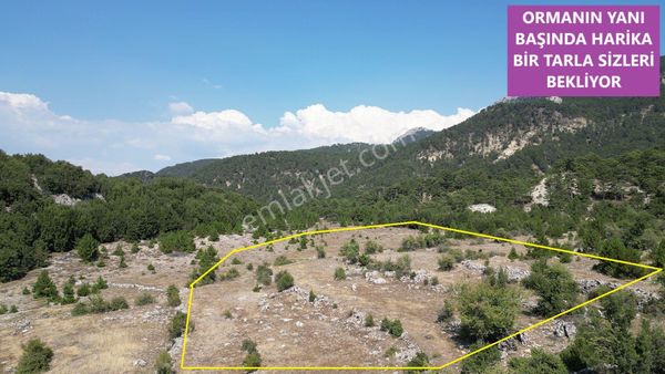 🦋lobby Fortis'ten Satılık Gölhisar Elmalıyurt'ta 5800 M² Tarla🦋