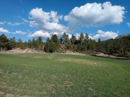 🦋lobby Fortis'ten Satılık Gölhisar Elmalıyurt'ta 8247 M² Tarla🦋