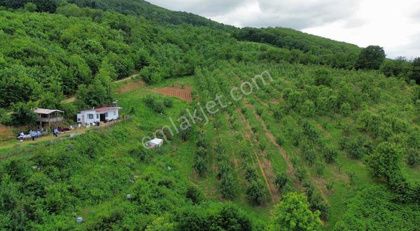 Babasultan Köyünde Benzersiz Kusursuz Göl Manzaralı Arazi