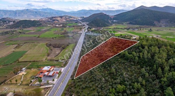 Zeta - Milas Söke Çevreyoluna 112 Mt. Cepheli Satılık Zeytinlik