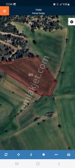 Doğa İle İçiçe Mükemmel Konumda 8000m2 Satılık Tarla