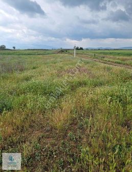 Soytürk Gayrimenkul Den Baklan Merkez Ovada 8640 M2 Sulak Arazi