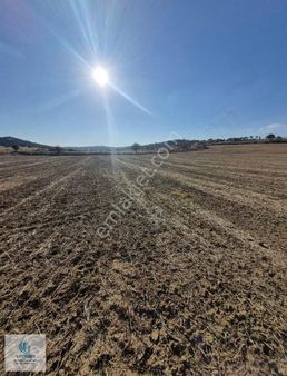 Soytürk'den Çal Dayılarda Yerleşime 350 Metre Mesafede 2740 M2