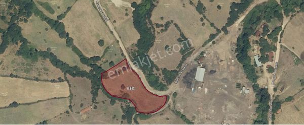 Yıldız Emlak Gayrimenkul Den Mancılık Mah. 8.370 M2 Satılık Tarla