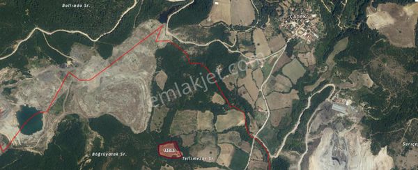 Yıldız Emlak Gayrimenkul Den Koyuneri Mah. 12.540 M2 Satılık Tarla