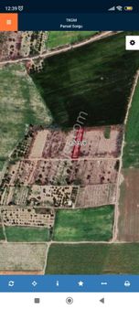 Kaçmaz Emlaktan Yeşilhisar Kesikte Bag Bahçe