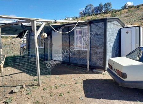 Güvenay - Çorum Kızılpınar Köyü 12,349 M² Ceviz Bahçesi