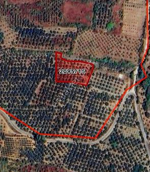 Century 21 Ewa'dan İznik Çamdibi Mevkii Harika Tarla