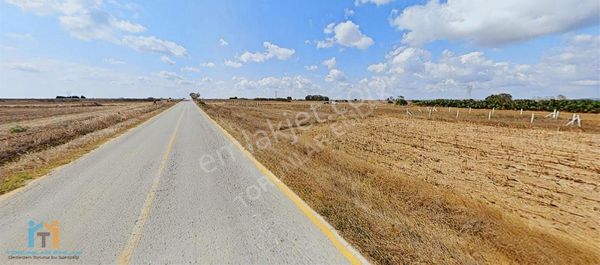 Torunlar Emlaktan Satılık Saray Çukuryurt 910m2 Müstakil Tarla