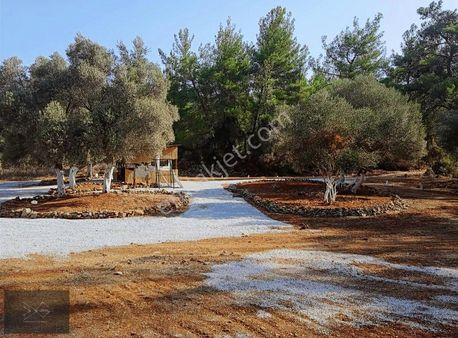 Milas Kızılağaç Denize Yakın Asfalta 1 Parsel Prefabrik Arazi